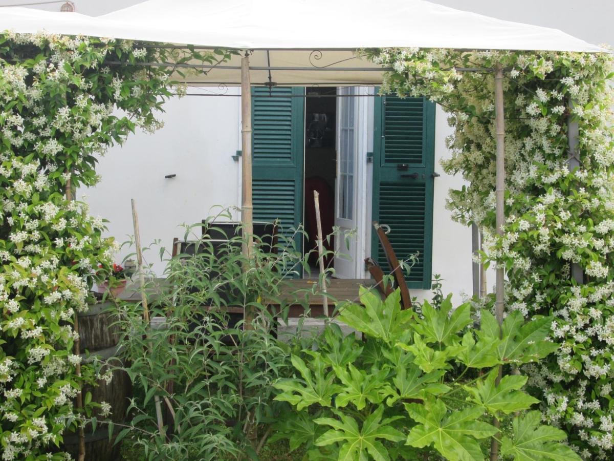 הוילה אמליה Casa Margubbio מראה חיצוני תמונה